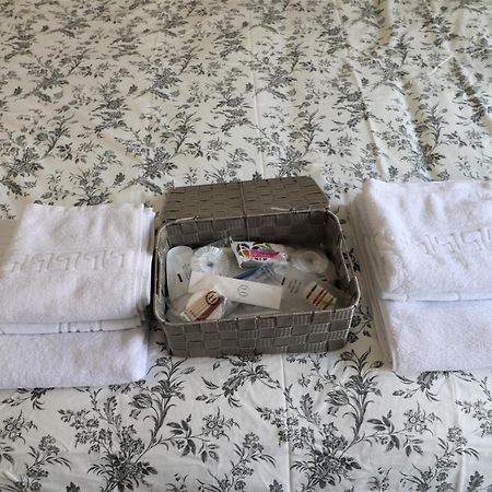 Lovely City Center Apartment - Free Minibar 부쿠레슈티 외부 사진